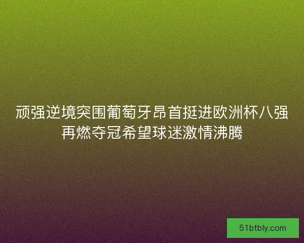 顽强逆境突围葡萄牙昂首挺进欧洲杯八强再燃夺冠希望球迷激情沸腾