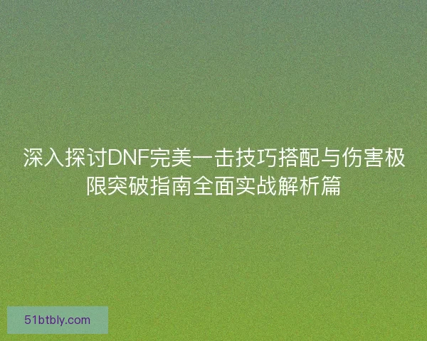 深入探讨DNF完美一击技巧搭配与伤害极限突破指南全面实战解析篇